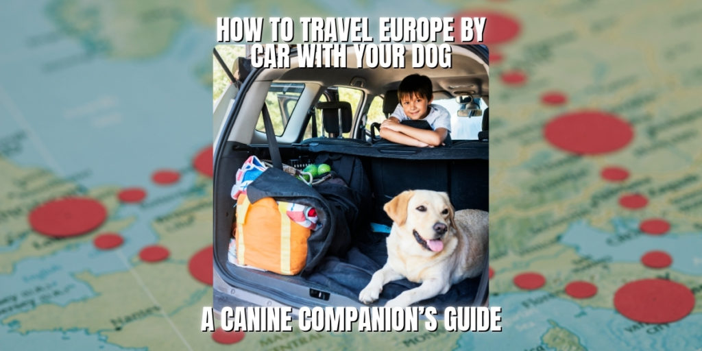 How to Travel Europe by Car with Your Dog