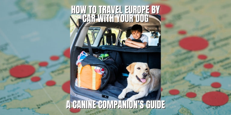 A Canine Companion’s Guide to European Road Trips: How to Travel Europe by Car with Your Dog