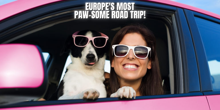 Europe’s Most Paw-some Road Trip: Adventures with Your Furry Co-Pilot