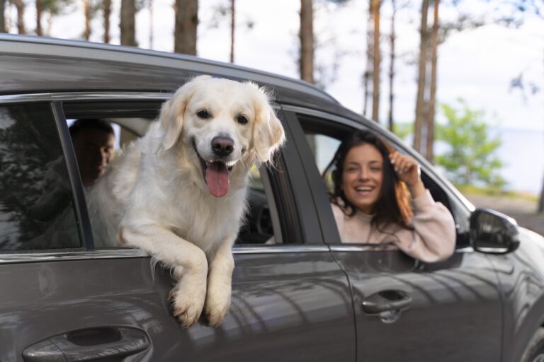 The Perfect Timing: Exploring Europe by Car with Your Dog