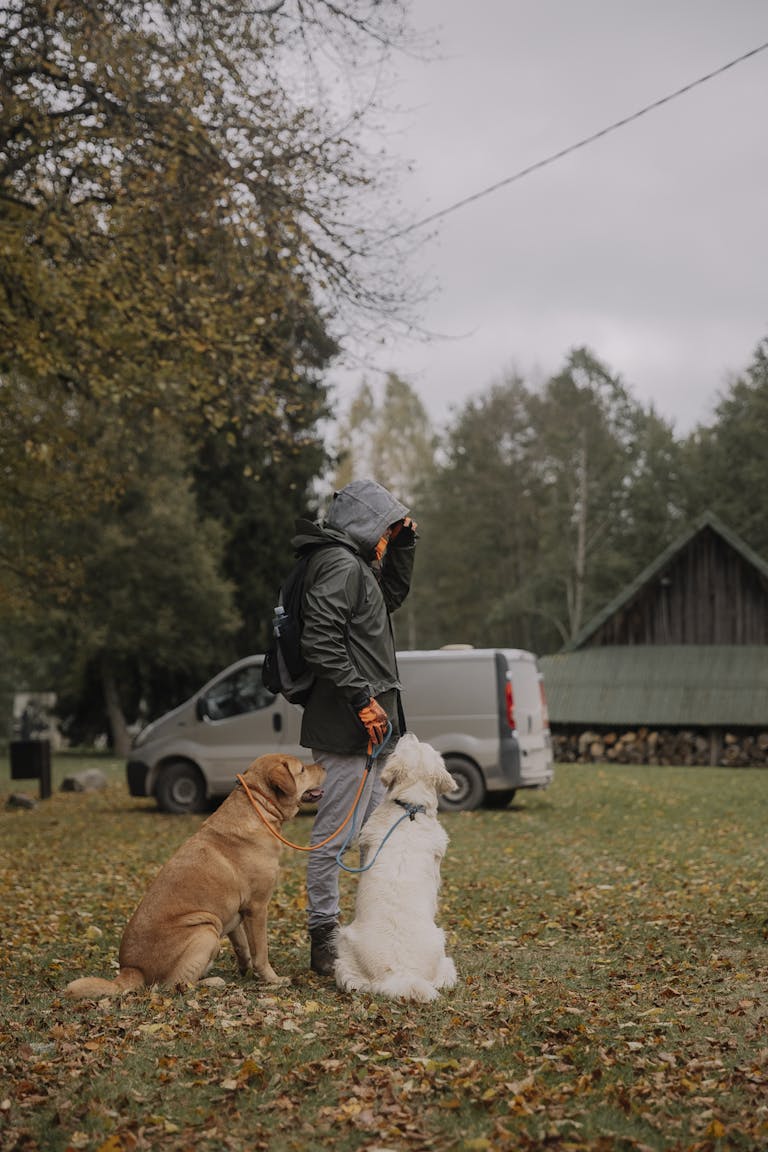 Woman with two dogs in an autumn park, surrounded by leaves and trees, on a cloudy day.